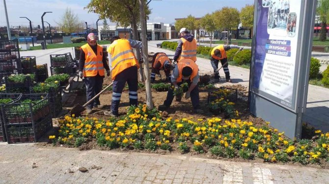 Balıkesir’de Çamlık Ve Avlu Bayrama Hazır
