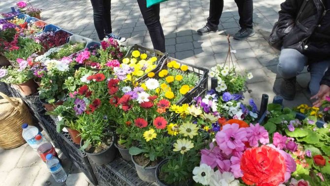 Burhaniye De Bahar Geldi Çiçeklere İlgi Arttı