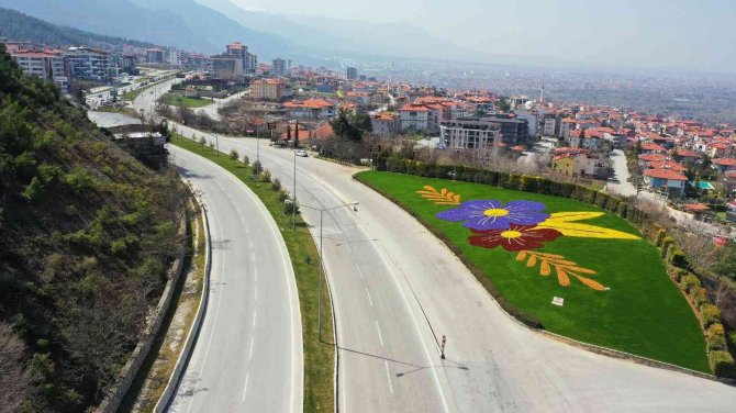Çiçek Açan 1,5 Milyon Hercai Denizli’ye Baharı Getirdi