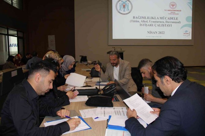 Erzincan’da “Ben Olsaydım” Temalı Bağımlılıkla Mücadele Çalıştayı Yapıldı