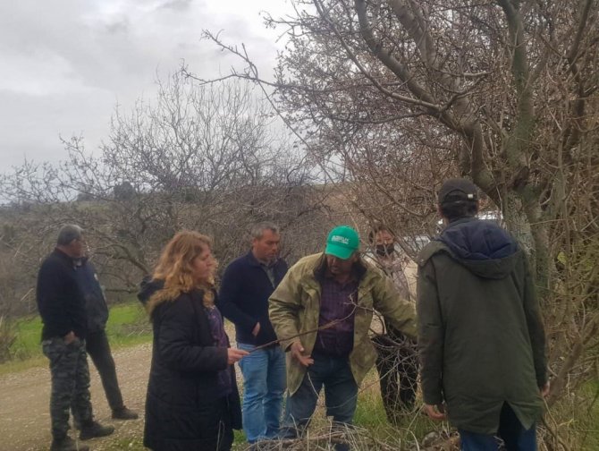 Antepfıstığı Ve Ceviz Üreticilerine Uygulamalı Eğitim
