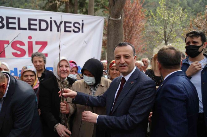 Gümüşhane’de 5 Bin Ceviz Fidan Dağıtıldı