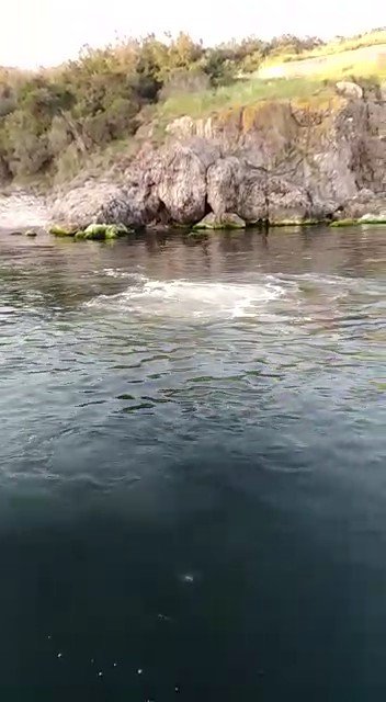 Heybeliada’da Derin Deniz Deşarj Hattı Patladı, Lağım Suyu Deniz Yüzeyine Çıktı
