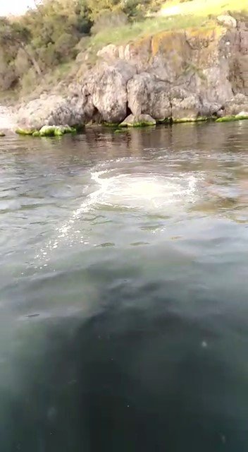 Heybeliada’da Derin Deniz Deşarj Hattı Patladı, Lağım Suyu Deniz Yüzeyine Çıktı