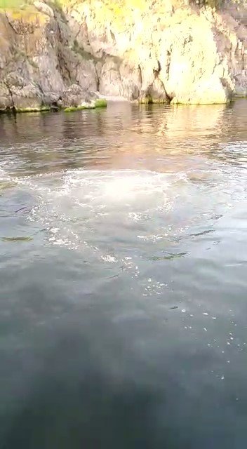 Heybeliada’da Derin Deniz Deşarj Hattı Patladı, Lağım Suyu Deniz Yüzeyine Çıktı