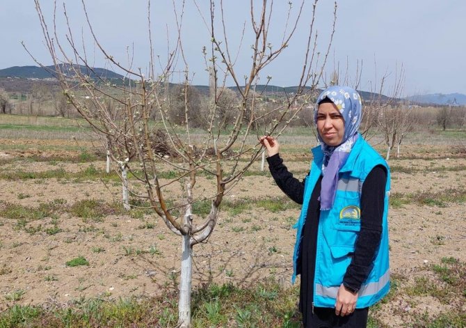 Hisarcık’ta Elma Bahçelerinde Hastalık Kontrolü