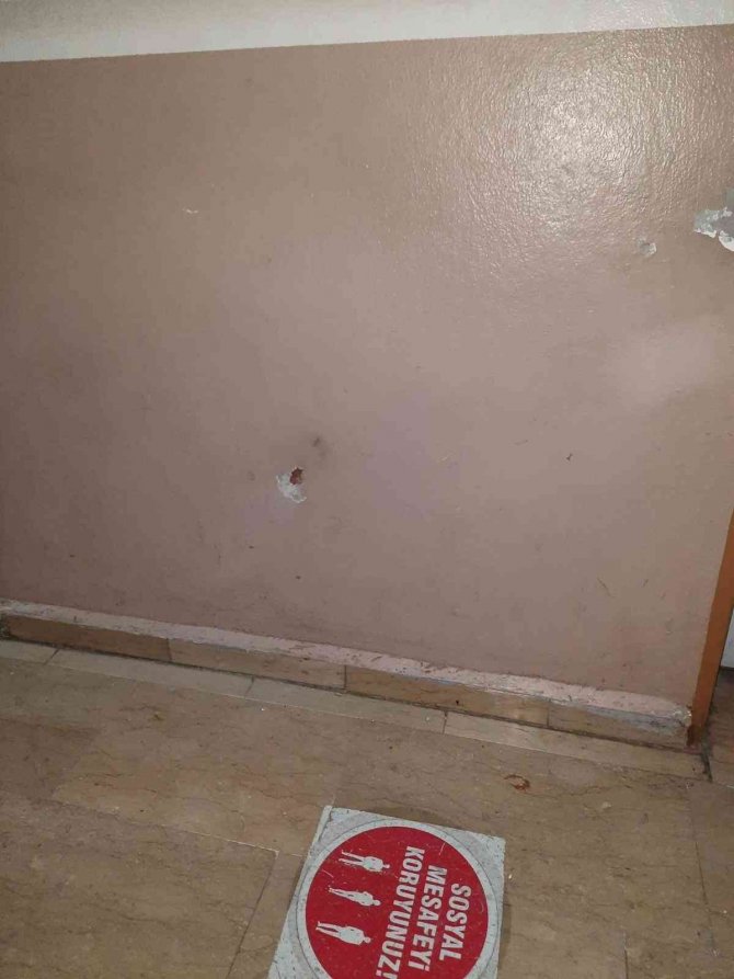 Lice’de Sağlık Çalışanlarına Saldıran Şüpheli Tutuklandı
