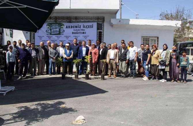 Mersin’de 192 Üreticiye 3 Bin 865 Avokado Fidanı Ulaştırıldı