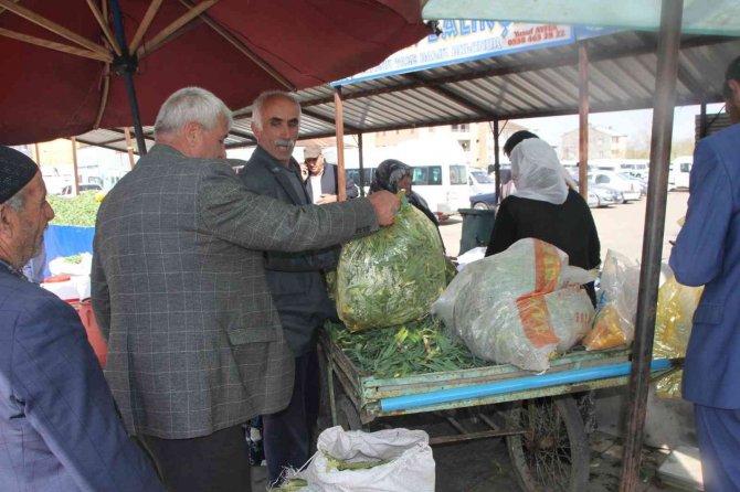 Topladıkları Bitkileri Satarak Geçimlerini Sağlıyorlar