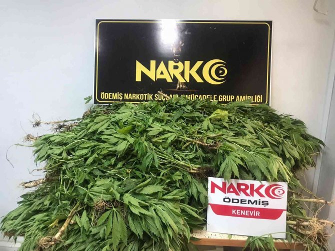 Kamp Çadırı Değil, Zehir Çadırı