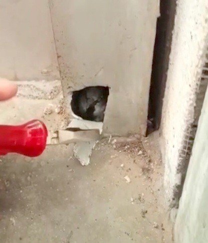 Pencere Pervazında Mahsur Kalan Serçe Kurtarıldı