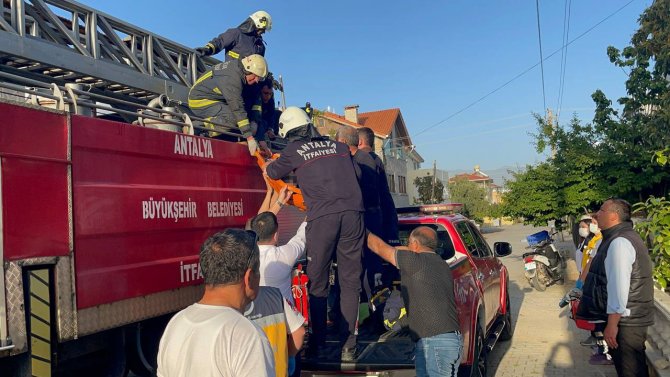 Budamak İçin Çıktığı Palmiye Ağacında Hayatını Kaybetti
