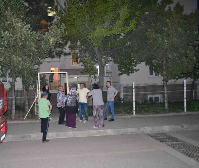 3. Kattan Düşerek Hayatını Kaybetti
