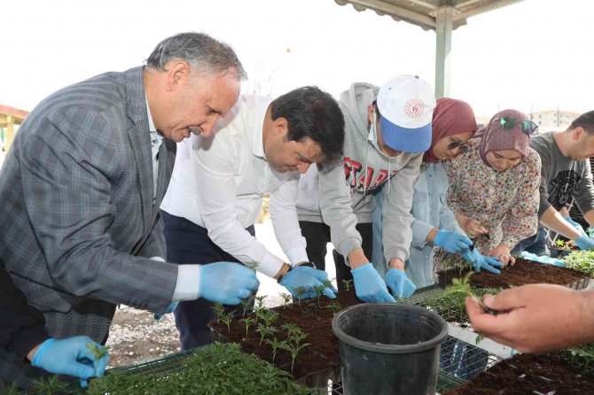 Uşak Belediyesi Ata Tohumlarının Devamlılığını Sağlıyor