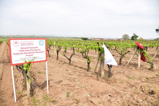 Üreticilerin Biyoteknik Mücadelesine Manisa Büyükşehir Desteği