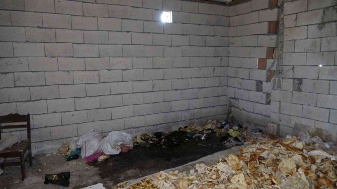 Aldığı Yanık Kokusu Diri Diri Yanmaktan Kurtardı