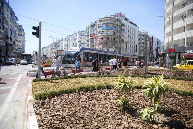 Büyükşehirden Su Tasarruflu Peyzaj Çalışması