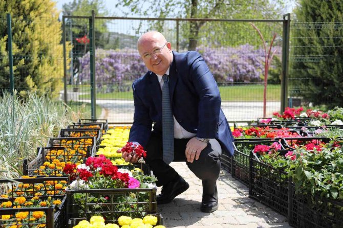 Menteşe’de Bahar Renkleri Çiçek Açtı