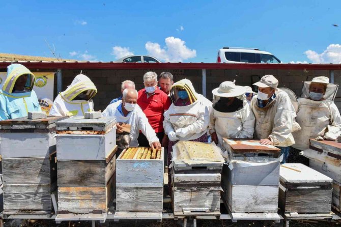 Büyükşehir’den Bal Gibi Eğitim: Arıcılık Eğitimi İçin Son Başvuru Tarihi 29 Nisan