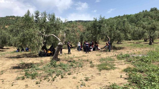 Çanakkale’de Son 4 Ayda Bin 195 Düzensiz Göçmen Yakalandı