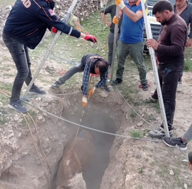 Kuyuya Düşen İnek, Afad Ekibi Tarafından Kurtarıldı
