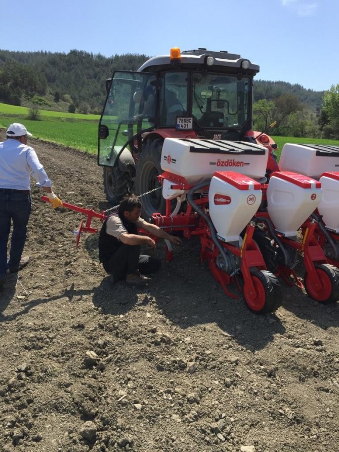 Yağlık Ayçiçeği Tohumları Toprakla Buluştu