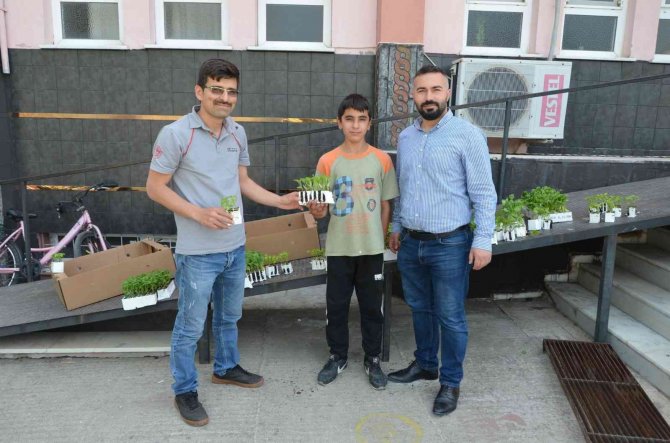 Köyceğiz’de Öğrencilere Ata Tohumu Fideleri Dağıtıldı