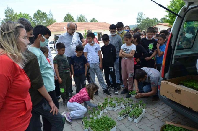 Köyceğiz’de Öğrencilere Ata Tohumu Fideleri Dağıtıldı
