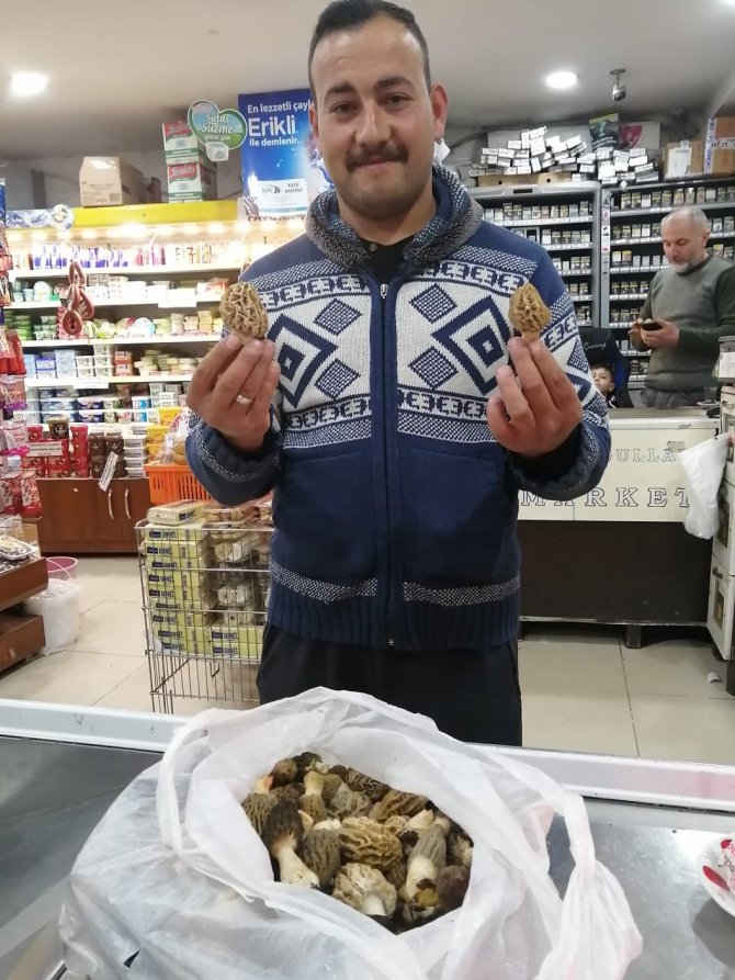 Köylüler Ormandan Topluyor, Kilogramı 300 Liradan Satılıyor