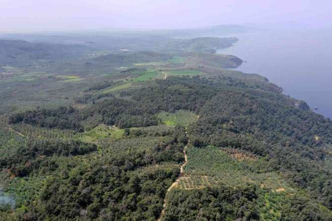 ’Rota Myrleia’ İle Doğa, Kültür Ve Tarihe Yolculuk Başlıyor