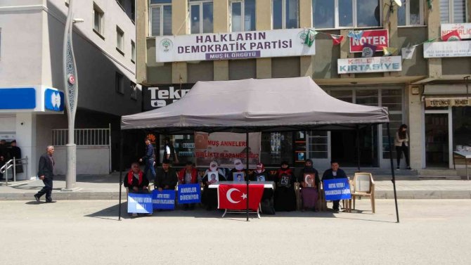 Dayısı İçin Evlat Nöbetine Katılan Barış Dost: “Pkk 13-14 Yaşındaki Çocukları Öldürttü”
