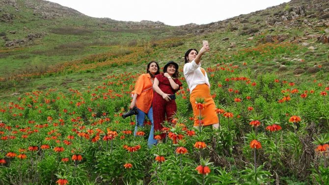 Doğa Tutkunları Ters Laleleri Fotoğraflamak İçin Bin 800 Rakımlı Dağa Tırmandı