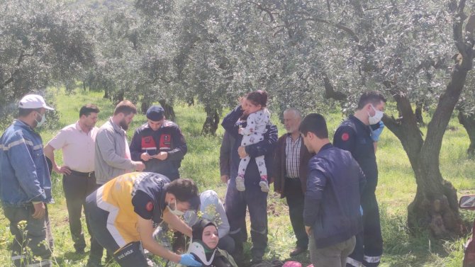 Otomobil Zeytinliğe Daldı: 2’si Çocuk 4 Yaralı
