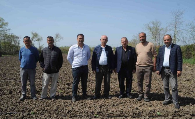 Bafra Ovası’nda Karpuz Fideleri Toprakla Buluştu