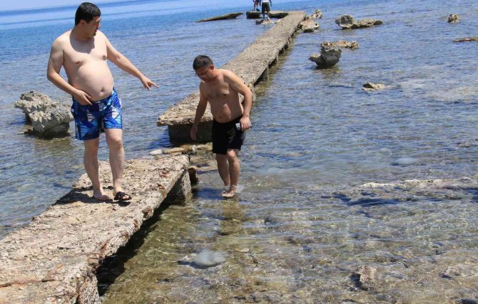 Akdeniz Sahillerinden Sevindiren Haber: Sayıları Günden Güne Azalıyor