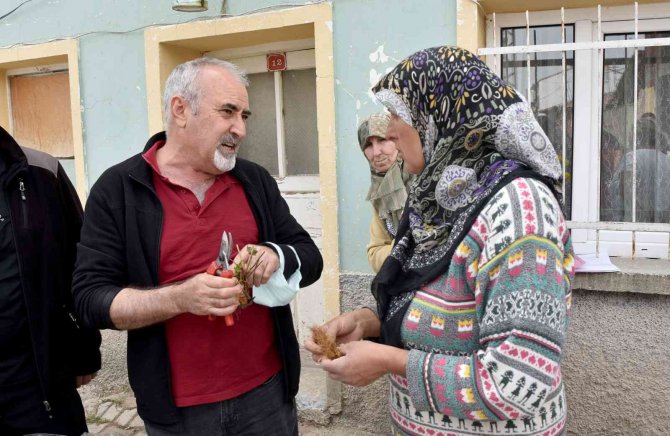 Tepebaşı’ndan 12 Üreticiye 25 Bin Çilek Fidesi Desteği