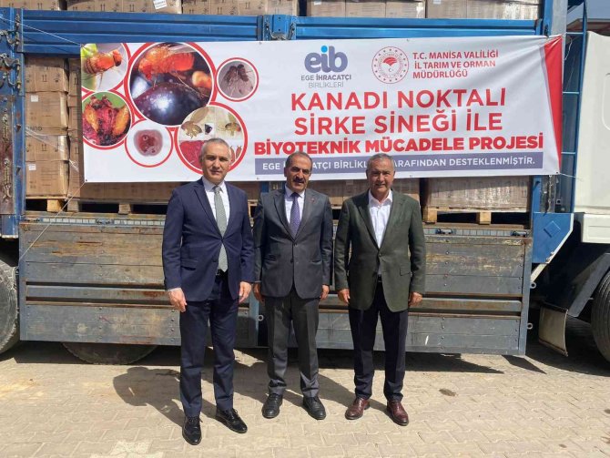 Ei̇b, Kirazda Sirke Sineğine Karşı 50 Bin Tuzak Kuracak