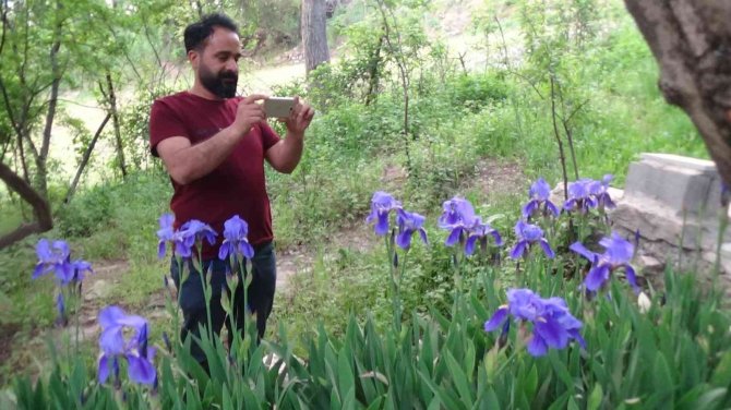 ‘Ters Lale’yi Koklamak Ve Fotoğraf Çekmek İçin Vatandaşlar Dağa Tırmanıyor
