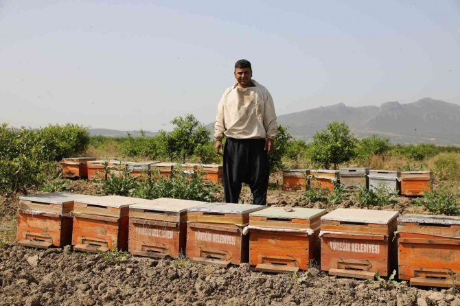Sertifikalı Kursiyerler Hibe Arı İle Üretime Başladı