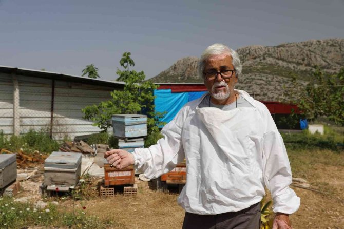 Sertifikalı Kursiyerler Hibe Arı İle Üretime Başladı