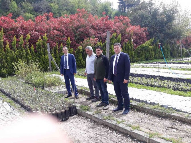 Zonguldak’ta Karaçatlak Üzümü Üretimi Yaygınlaştırılacak