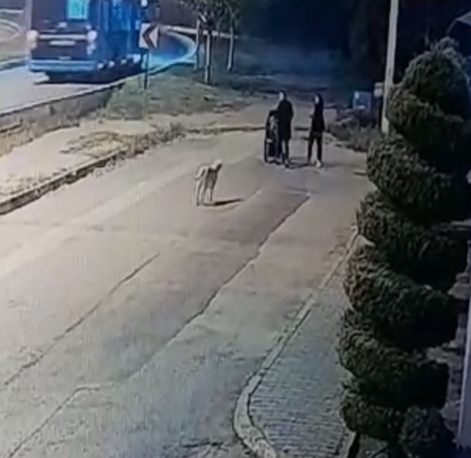Aynı Yerde 10’u Geçkin Köpeğin Bebek Arabalı Aile Ve Vatandaşlara Kabus Yaşattığı Anlar Kamerada