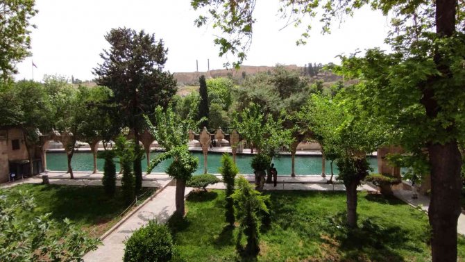 Balıklıgöl’deki Balık Ölümleri Araştırılıyor