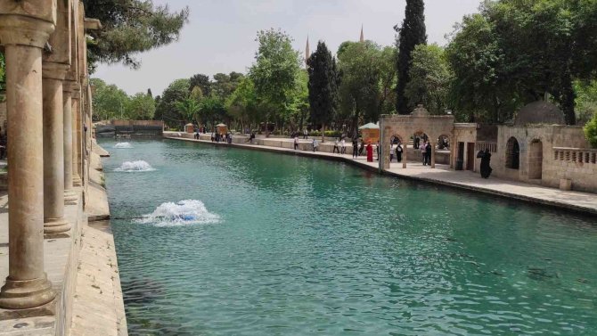 Balıklıgöl’deki Balık Ölümleri Araştırılıyor
