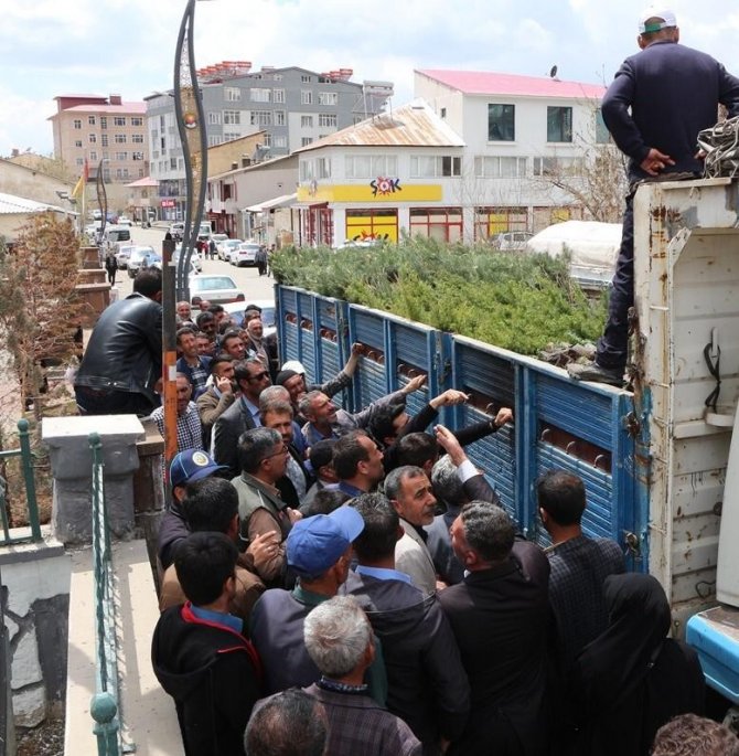 Karlıova’da 10 Bin Adet Fidan Dağıtıldı