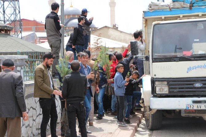 Karlıova’da 10 Bin Adet Fidan Dağıtıldı
