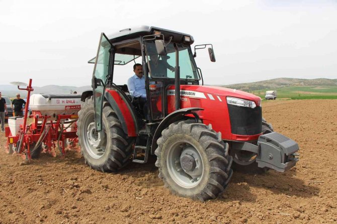 Amasya Valiliği Ayçiçeği Tohumu Desteğini 80 Bin Dekara Çıkardı