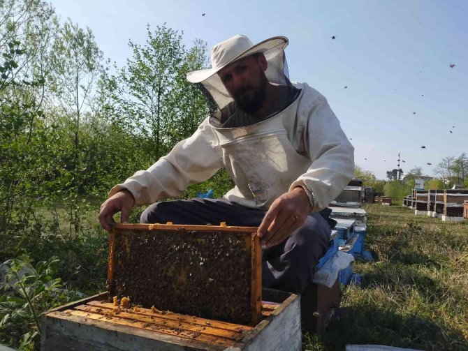 En Ballı İlde Arıcılar Sezona Hazır
