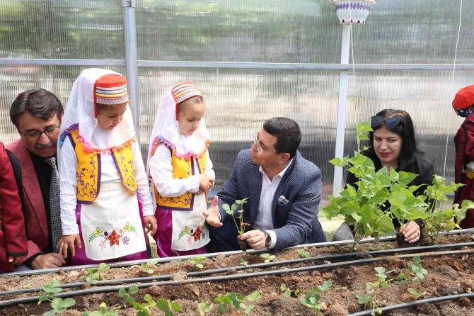 Başkan Tütüncü, Okul Serasına Çocuklarla Çilek Ekti