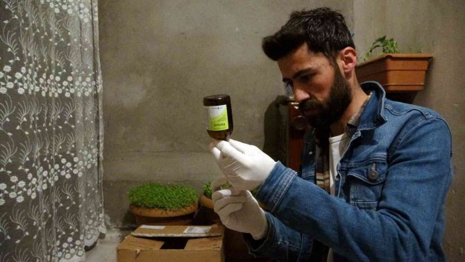 Yüksekova’da Nesli Tükenmekte Olan ’Balaban Kuşu’ Bulundu